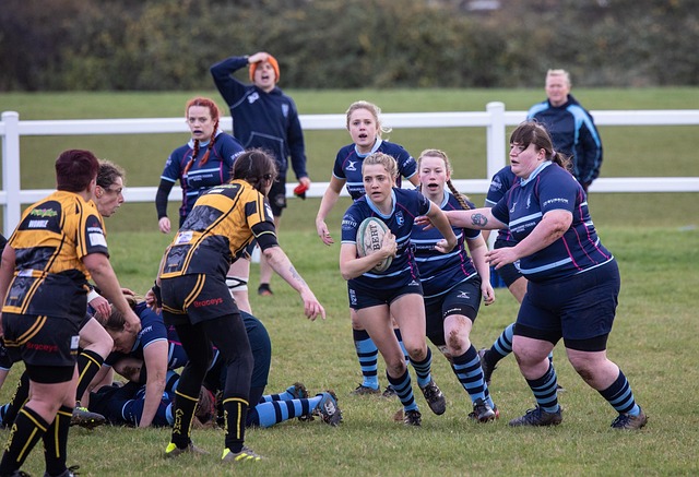 定性的有效 定性的有效